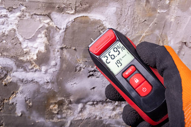 Best Mold Removal Near Me  in East Sonora, CA