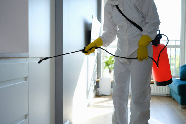 Best Mold Damage Repair  in East Sonora, CA